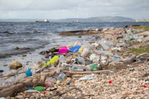 UTech Students ‘Rescue & Revive’ Rae Town’s Harbour 